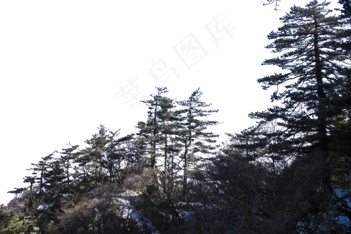 风景秀丽树木旺盛的山峰(2000X1333(DPI:300))psd模版下载