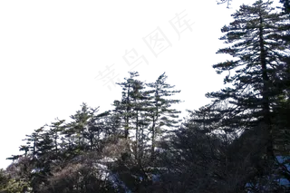 风景秀丽树木旺盛的山峰