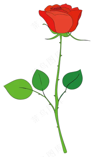 矢量花卉红色玫瑰