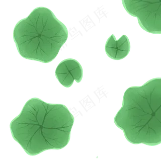 荷叶png