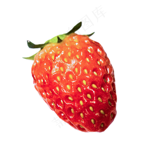 夏季水果红色草莓
