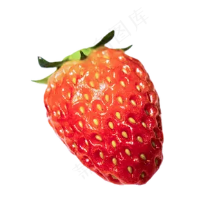夏季水果红色草莓
