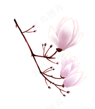 好看的鲜花,免抠元素