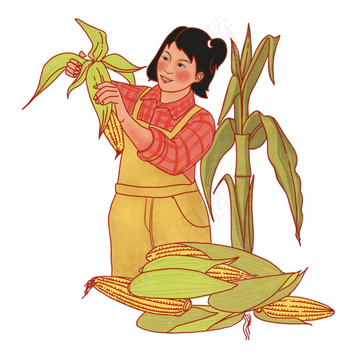 五一劳动节掰玉米PNG免抠(2048*2048px 300 dpi )psd模版下载