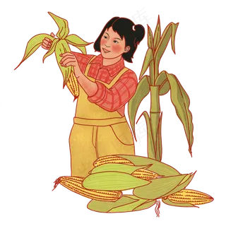 五一劳动节掰玉米PNG免抠