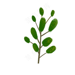 春天绿色植物下载
