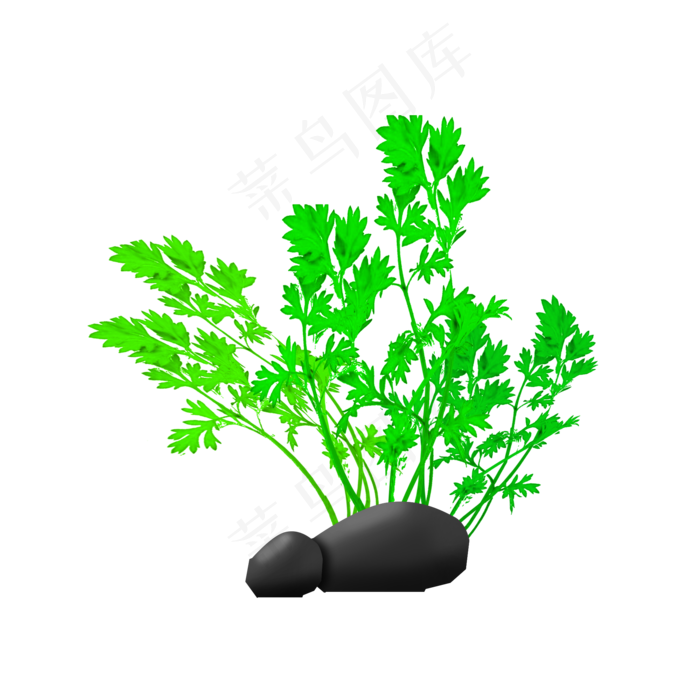 整颗艾草植株艾草PNG,免抠元素(2000X2000(DPI:300))psd模版下载
