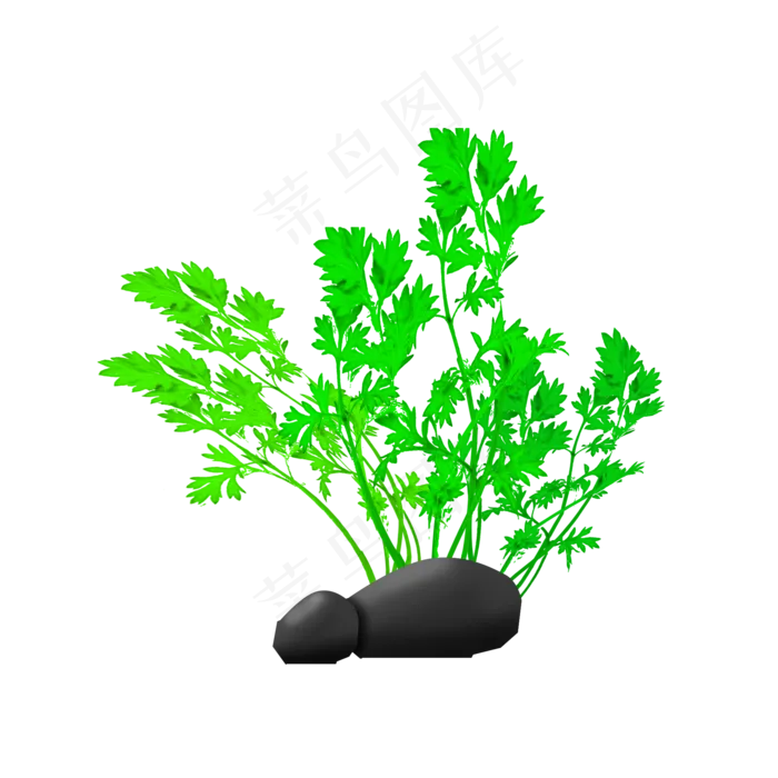 整颗艾草植株艾草PNG,免抠元素(2000X2000(DPI:300))psd模版下载