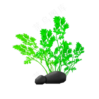 整颗艾草植株艾草PNG,免抠元素