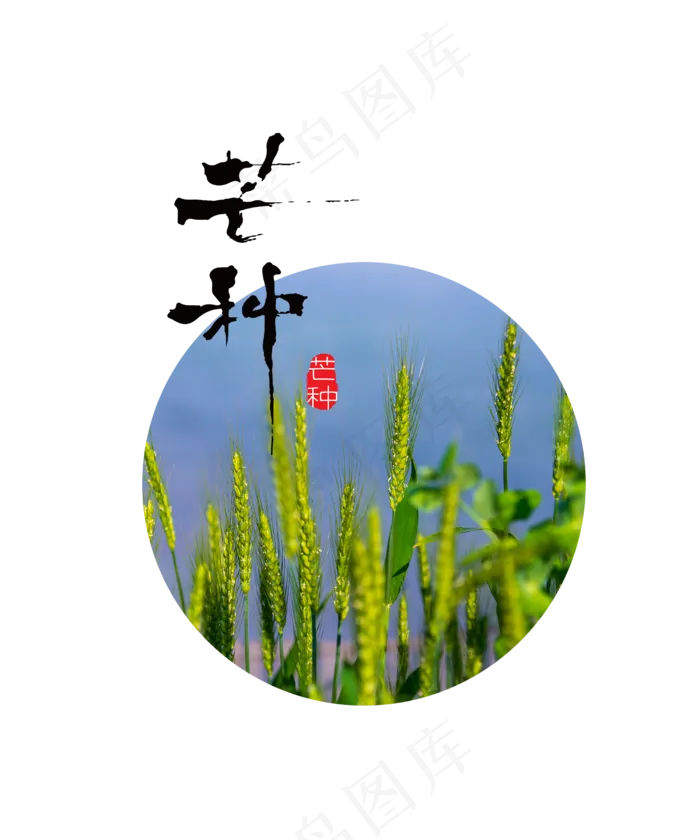 芒种麦田(2500X3000(DPI:300))psd模版下载