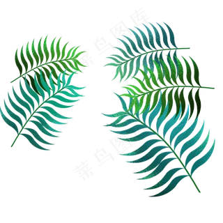 卡通手绘棕榈叶