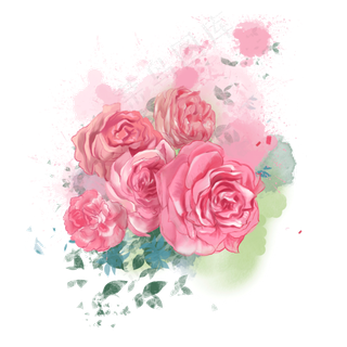 水彩玫瑰玫瑰花