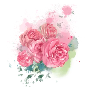 水彩玫瑰玫瑰花