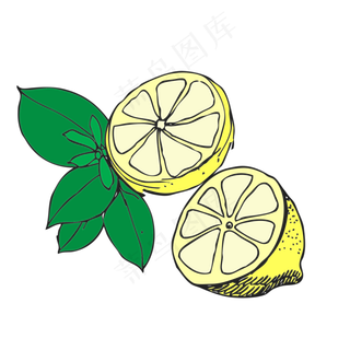 矢量手绘柠檬素材