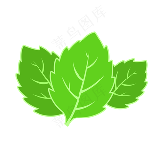 矢量茶叶免抠PNG