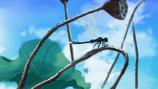 夏季荷塘蜻蜓停落