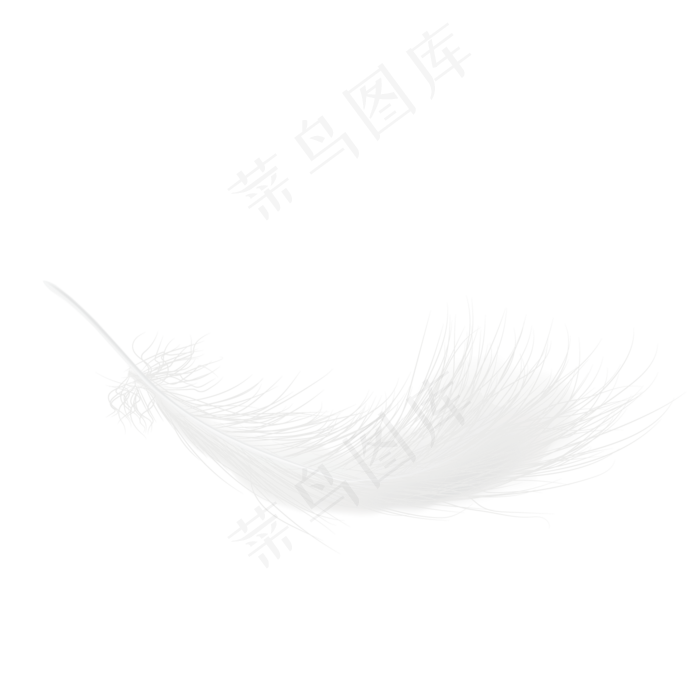 矢量白色羽毛下载,免抠元素(1600*1600px)ai矢量模版下载
