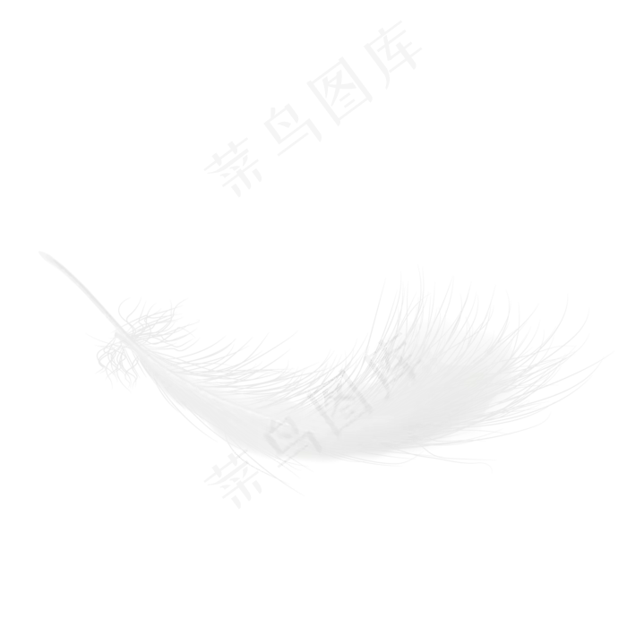 矢量白色羽毛下载,免抠元素(1600*1600px)ai矢量模版下载