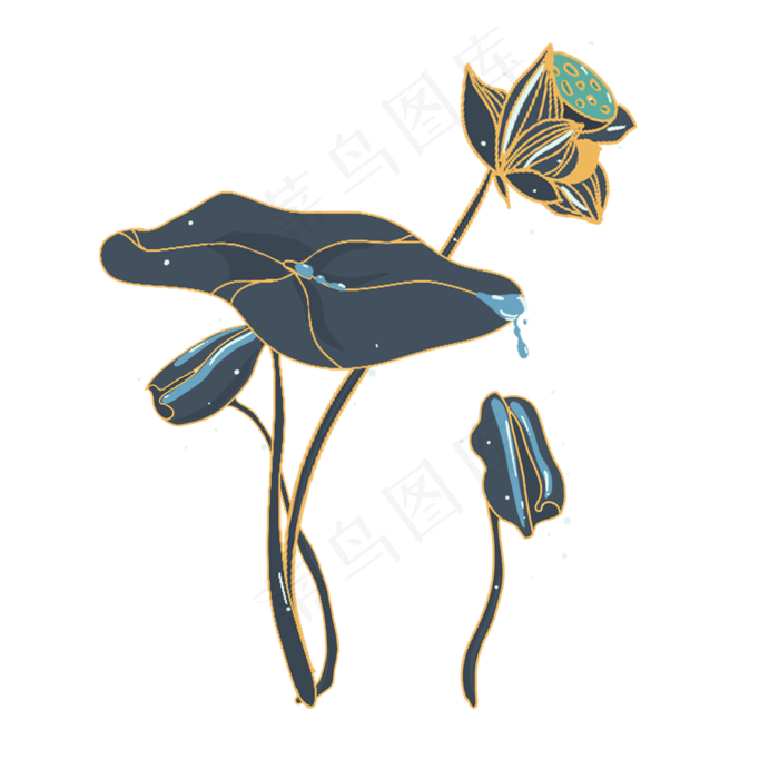 小暑大暑清凉莲花荷叶