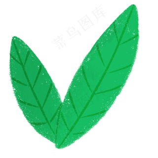 一对卡通的绿色叶子
