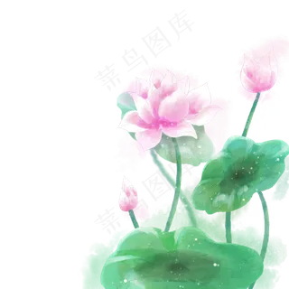 水墨水彩小清新荷花