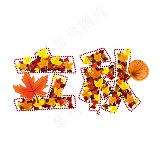 立秋秋天来到落叶秋意