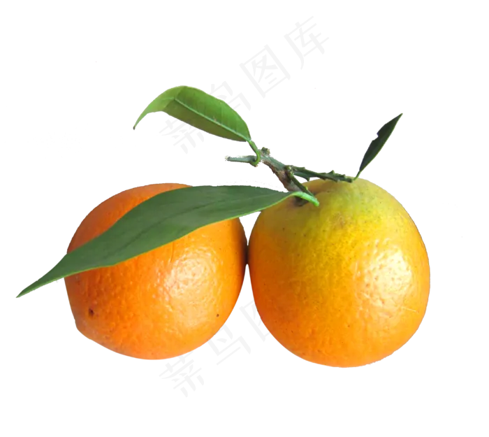 水果橙子免扣(2000X2000(DPI:300))
