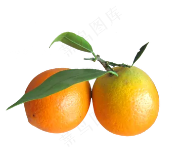 水果橙子免扣