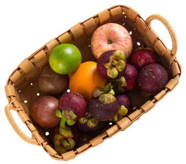 橙子山竹 橙子山竹