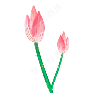 荷花花苞中国风手绘