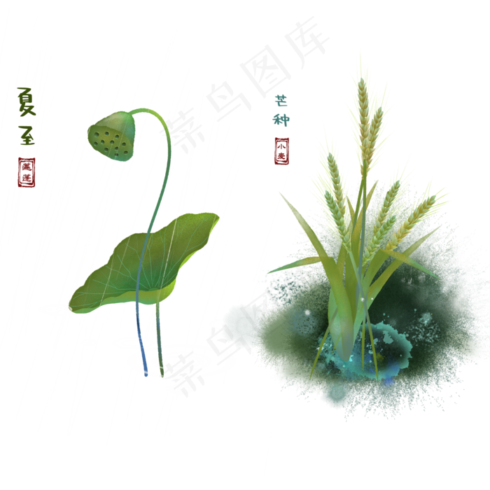 二十四节气夏至芒种