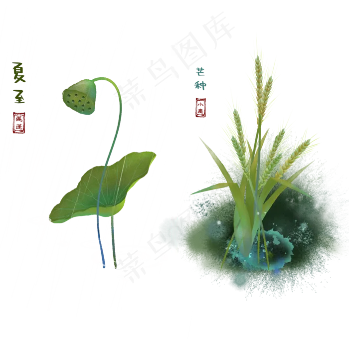 二十四节气夏至芒种(2000X2000(DPI:300))psd模版下载