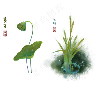 二十四节气夏至芒种 二十四节气夏至芒种