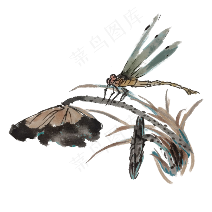 水墨蜻蜓手绘插画