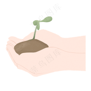 拿着树苗的男孩的手