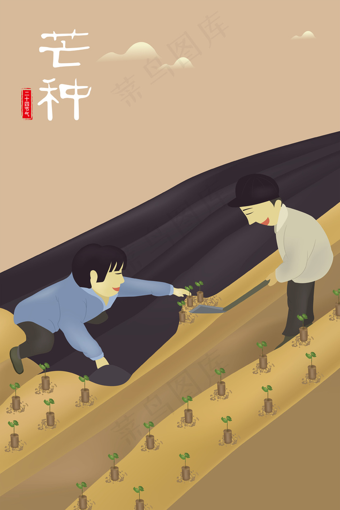 芒种农民摘棉花苗矢量插画