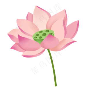 仿真中国风荷花