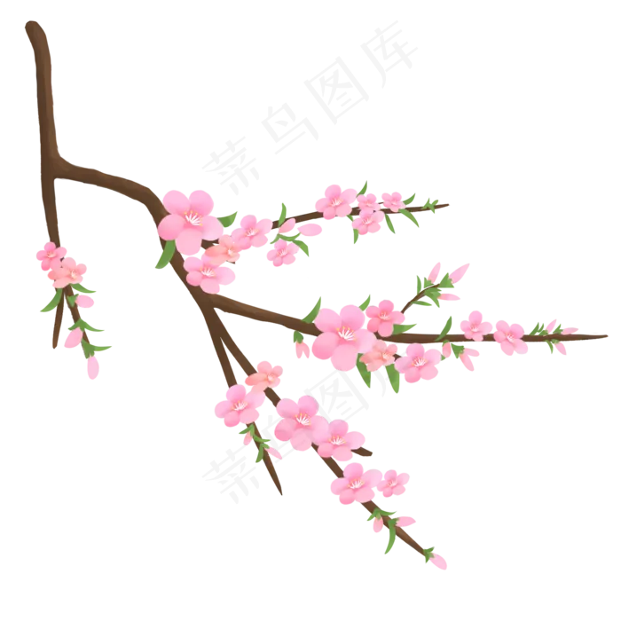 一枝粉色腊梅免抠图(2000X2000(DPI:300))psd模版下载