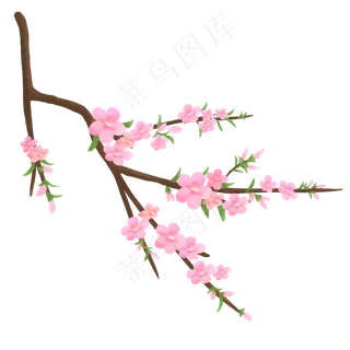 一枝粉色腊梅免抠图