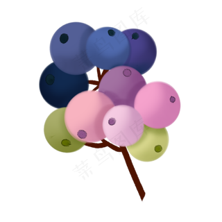 一束彩色缤纷蓝莓装饰