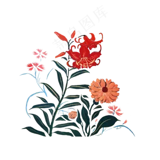 中国水墨红百合菊花写意工笔PNG花,免抠元素