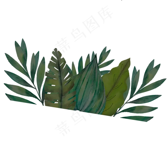 绿色热带植物元素