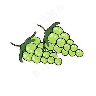水果葡萄青提