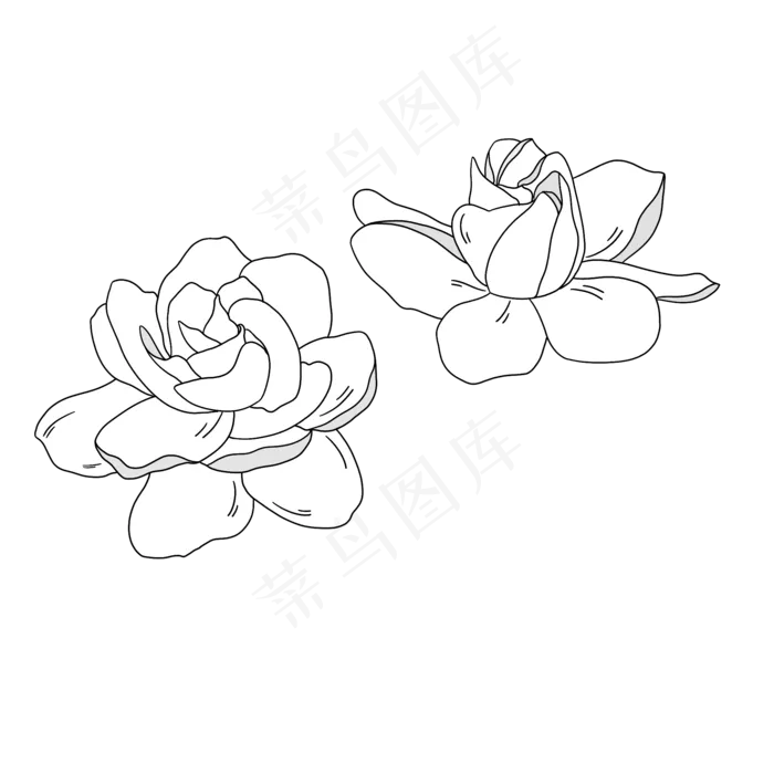 卡通矢量手绘的栀子花(2000X2000(DPI:300))psd模版下载