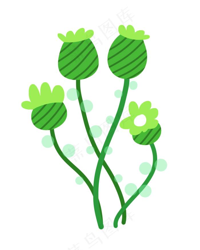 植物二十四节气小满(2000X2500(DPI:300))psd模版下载
