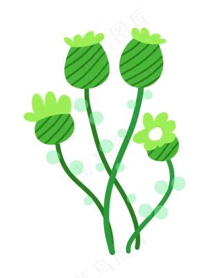 植物二十四节气小满