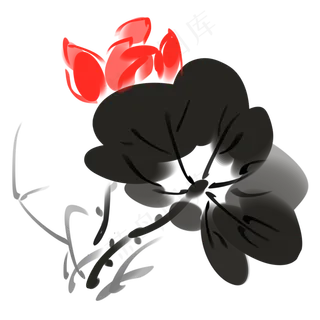 黑色水墨荷花