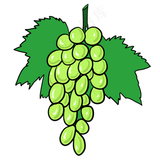 葡萄叶子可爱清新甜味种植生长卡