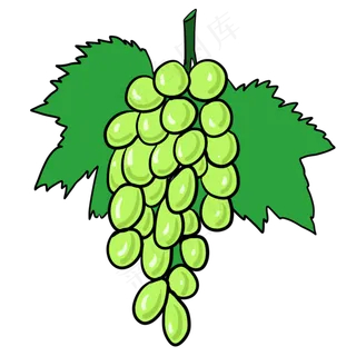 葡萄叶子可爱清新甜味种植生长卡