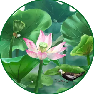 荷花唯美夏季中国风花鸟风景装饰,免抠元素